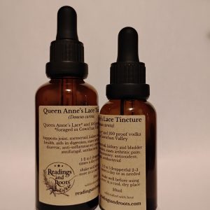 Queen Anne's Lace Tincture