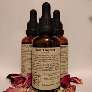 Rose Tincture